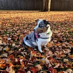 Brad Bear - Facebook
