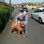 Brad bear - @bradbear44 - Instagram