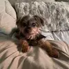 bradbeauchamp781 - @bradbeauchamp781 - TikTok