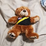 Brad Benton - @bradbenton390 - Instagram
