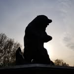 Brad Benton - @jackthedog730 - Instagram