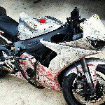 Brad Bohn - @bradbohnstunts - Instagram