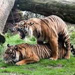 Brad Bold - @bradbold - Instagram