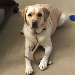 Brad Bowers - @bbowers1323 - Instagram