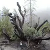 Brad Brough - @brad.brough1 - TikTok