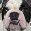 braddah_bruno_fp - @braddah_bruno_fp - TikTok