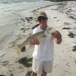 Brad Bryant - @bradbryantkwrs - Instagram