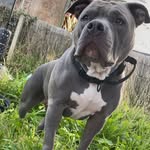 Brandon Bryant - @bradbryant5578 - Instagram