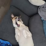 Brad budde - @brad_budde - Instagram