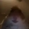 I hope he will follow me - @bradleyburden.fp - TikTok