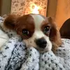caseybradley8586 - @caseybradley8586 - TikTok