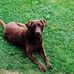 Brad Chaffee - Facebook