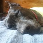 Brad Cherry - @dark_legend_brother - Instagram