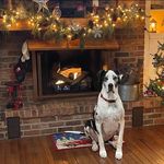 Brad Childers - @brad_childers35 - Instagram