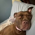 Brad Chilton - @brad_chilton_ - Instagram