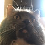 Brad Chin - Facebook