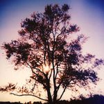 Brad Conroy - @bradconroy_guitar - Instagram