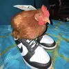 bradley_conroy534 - @bradley_conroy534 - TikTok