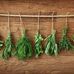 Brad Crouch Naturopathic Clinic - Facebook