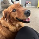 Brad Culp - @rileycupups - Instagram