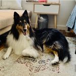 Brad Curry - @hellskitchencollie - Instagram