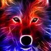user4850272188440 - @bradencurry07 - TikTok