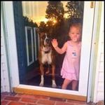 Brad Dalton - @dalton_brad - Instagram