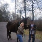 Brad Dalton - @brad.dalton.9212 - Instagram