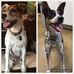 Brad Darnell - Facebook