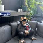 Brad Davey - @davey5679 - Instagram