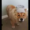 Brad Davey - @brad.davey4 - TikTok