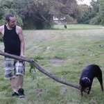 Brad Davey - @bdstreamlined - Instagram