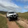 Brad_Davey - @brad_davey - TikTok