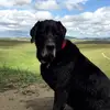 Brad Davies - @brad.davies72 - TikTok