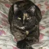 braddavies81 - @braddavies81 - TikTok