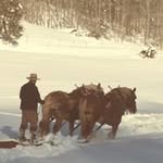 Brad Dennison - @dennisonbrad740 - Instagram