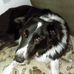 Brad Denny - Facebook