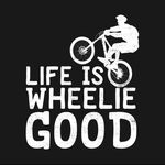 Brad Dillon Ethan - @wheelie.boyz.123 - Instagram