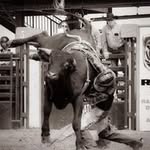 Brad Dixon - @braddixon5619 - Instagram