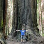 Brad Dubetsky - @braddubetsky - Instagram