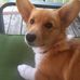 Brad DeThorne - Facebook