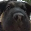Brad ley - @bradley.eberhart - TikTok