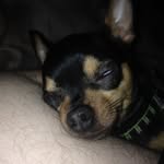 Bradley Eberhart - @bradley_eberhart_ - Instagram