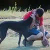 stein - @bradweisenstein4 - TikTok