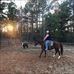 Brad Eldridge - Facebook
