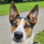 Bradley Featherstone - Facebook