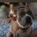 Brad Flanagan - Facebook