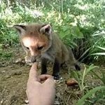 Brad Fortner - @bfortner2 - Instagram