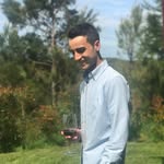 @brad.forward.growth - Instagram