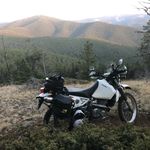 Brad Frank - @bradfrank - Instagram